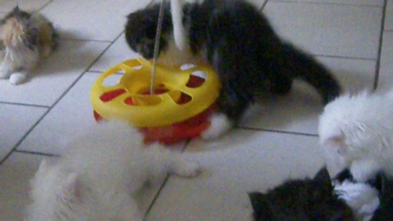 mes bébé deux mois et demi