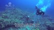 Reef Defense Underwater Attack off Coast of Kona, Hawaii