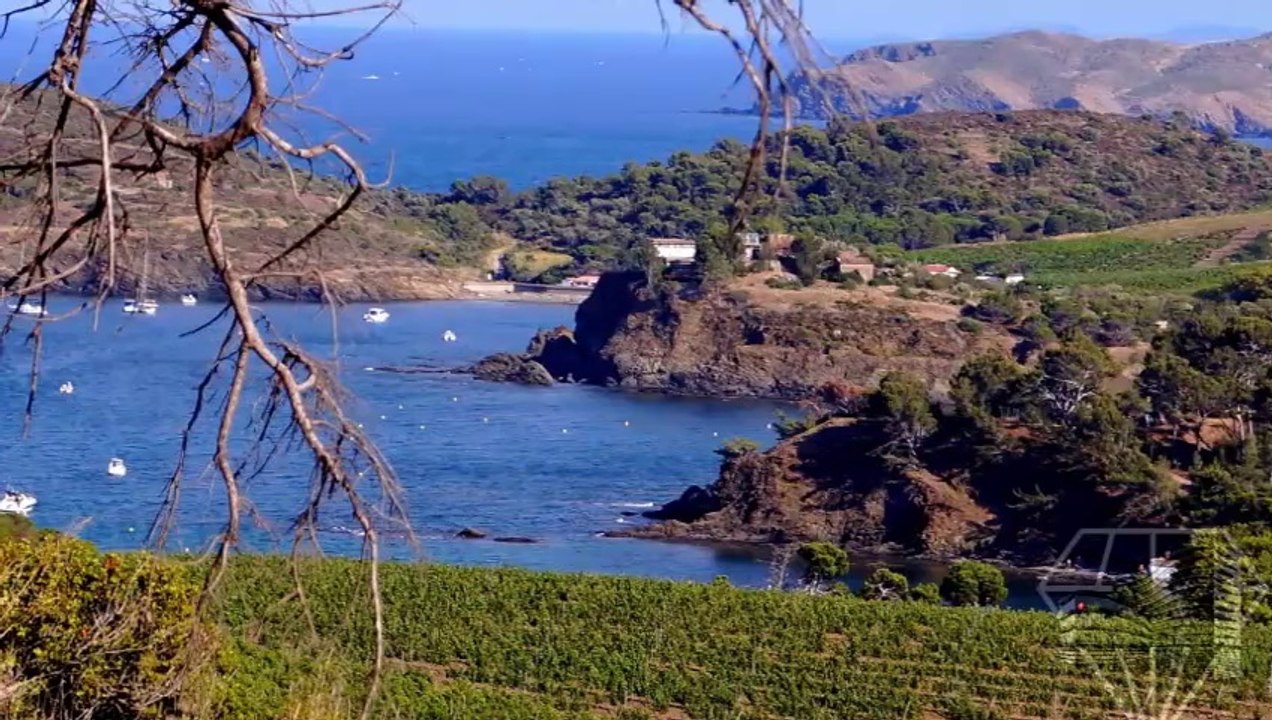 Appartements en vente à Banyuls sur Mer, Languedoc Roussillon, France