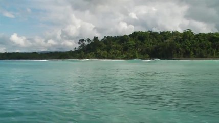 Get Reel - Costa Rican Roosters