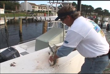 Video herunterladen: Rigs Tips Cobia Filet