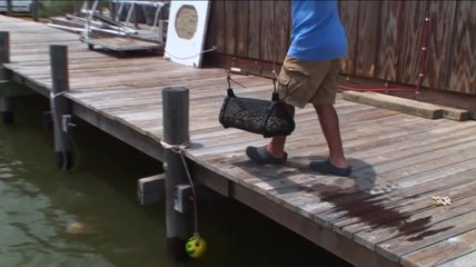 Behind The Science - University of South Alabama