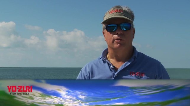 Yo- Zuri - Topwater Lures