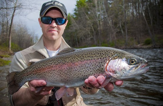 Hook Shots: Trout Lessons From The Mealie Master