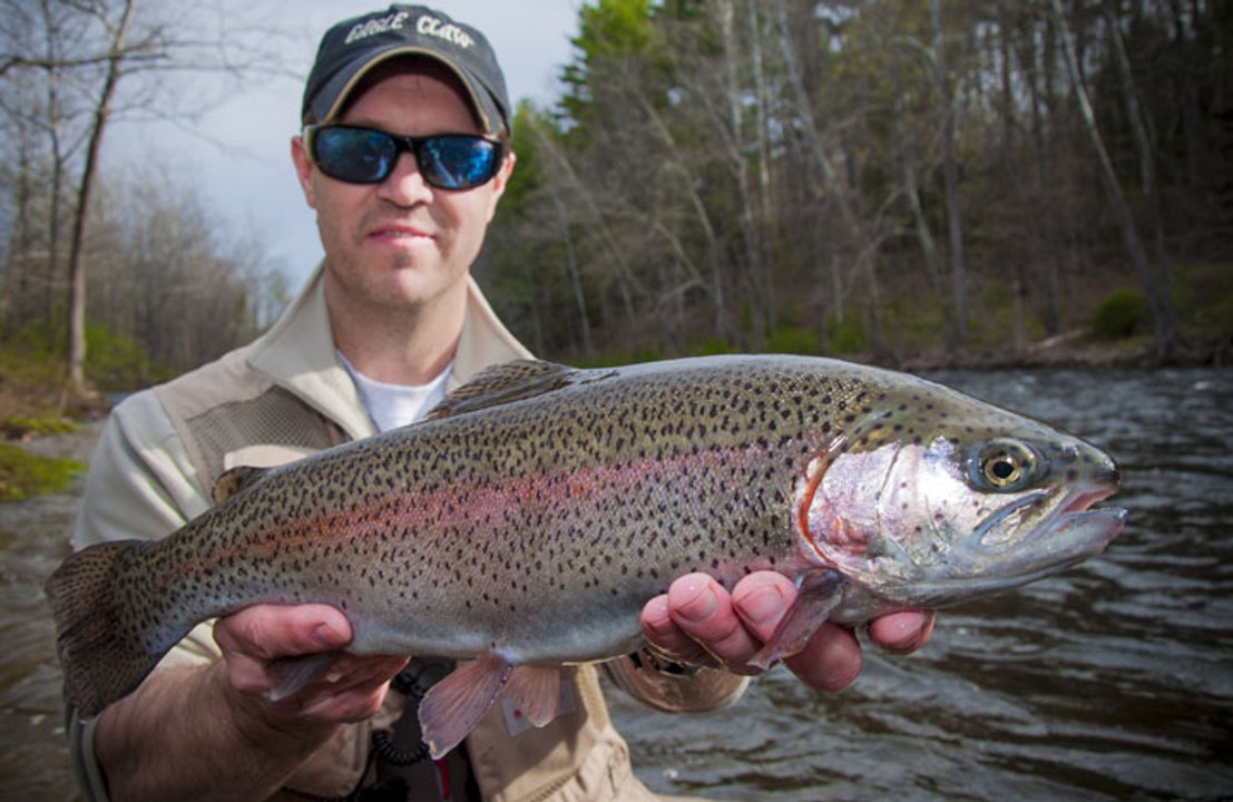 Hook Shots: Trout Lessons From The Mealie Master