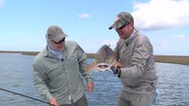 Monster Redfish on the Fly