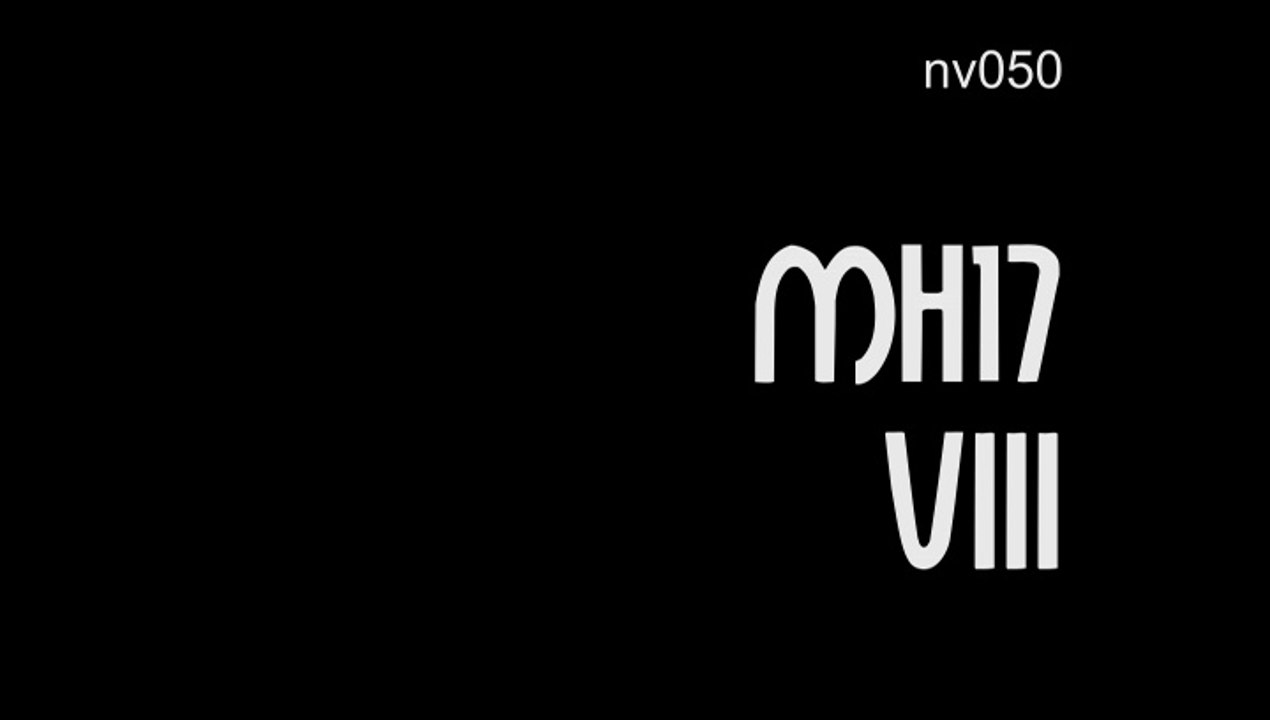 nv050 MH17 VIII