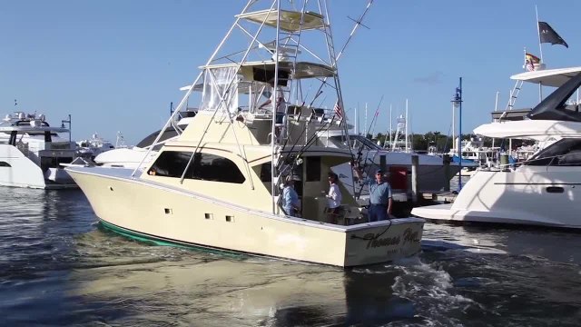 Marlin University in Miami: Sailfish Action