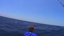 Close Call with Sailfish
