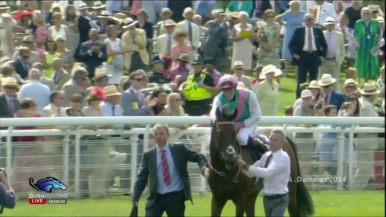 Qipco Sussex Stakes 2014 G1 - KINGMAN