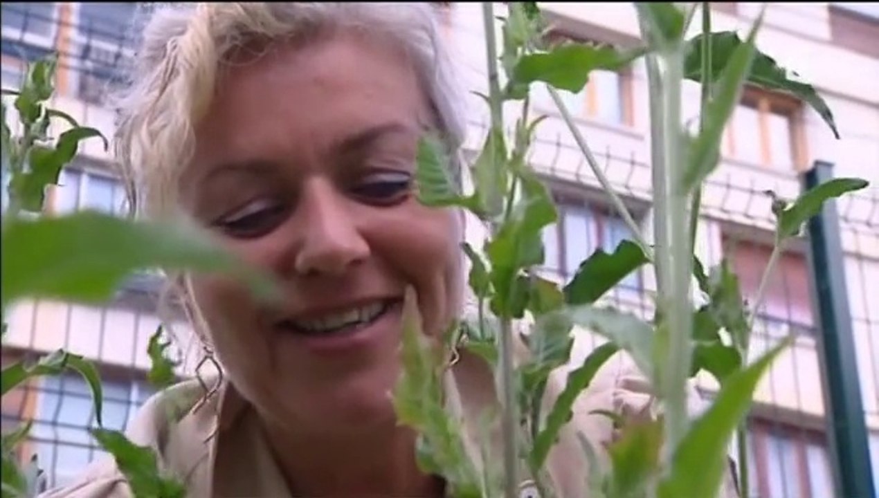 Naturbis Danièle Noël