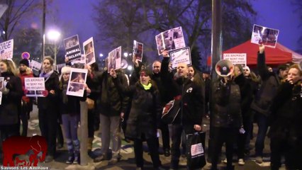 Rassemblement contre les cirques avec animaux