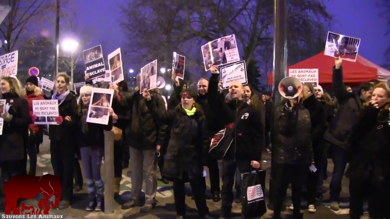 Rassemblement contre les cirques avec animaux