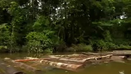 Ayahuasca Documentary: Introduction to "METAMORPHOSIS" - a documentary on Ayahusca