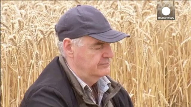 De mystérieuses formes géométriques dans un champ allemand