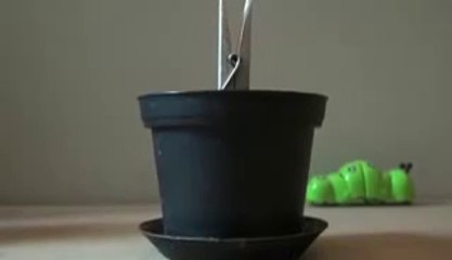 Tiens Moi Droite - Trialer