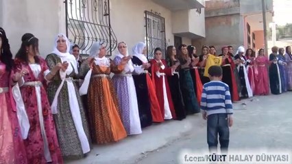 HAKKARİ GEWDAN AŞİRETİ DÜĞÜNÜ