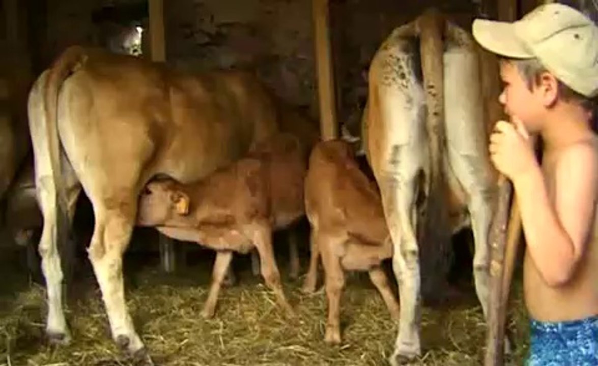 Ici Najac,  à vous la terre [bande annonce]