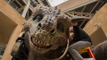 How to Make a Giant Creature - Watch the Giant Creature Marry a Couple & More Highlights from San Diego Comic-Con 2014