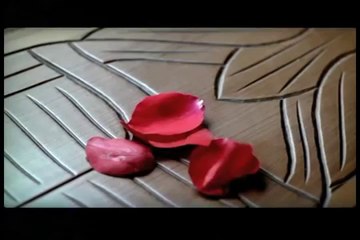 TERRA INCÓGNITA (PARTE 01/02)