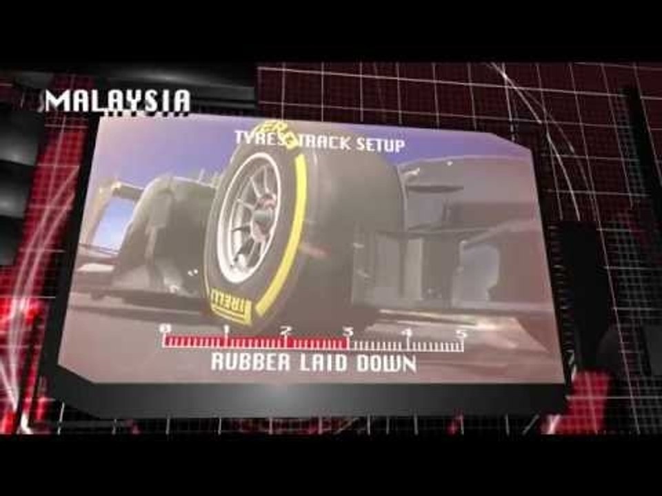2014年F1マレーシアGPタイヤ解説