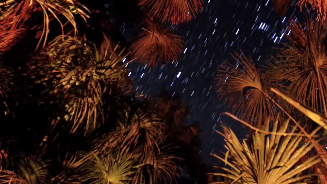 Stepping Into The Fire (2011) Trailer - Documental