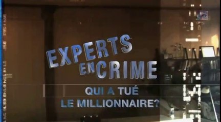 experts en crime [qui à tué le millionnaire ?]