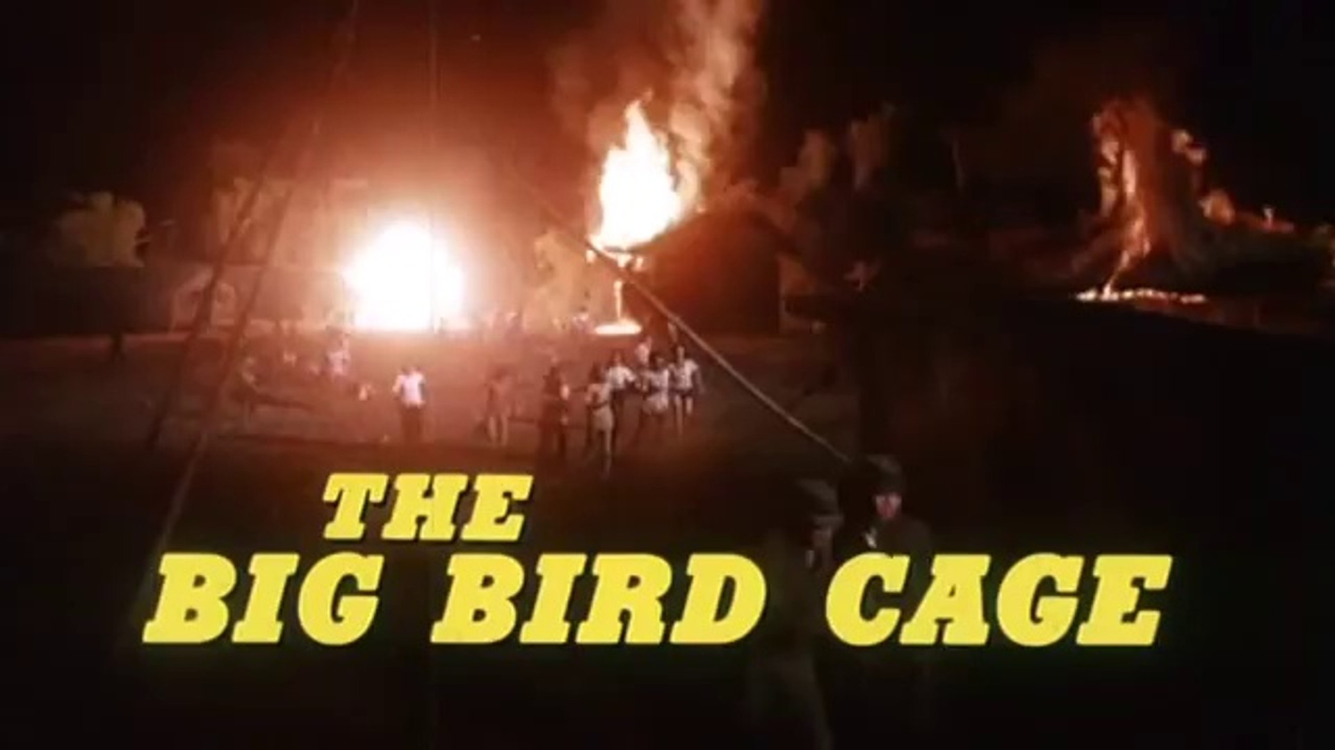 Pam Grier, A Grande Gaiola De Passarinho