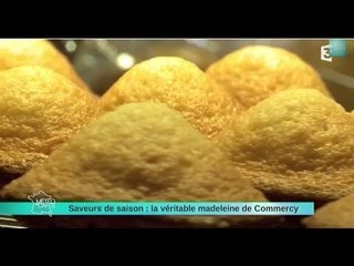 28/05/14 Saveurs de saison : la véritable madeleine de Commercy