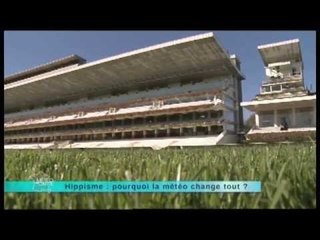 Courses hippiques - un reportage du 15 novembre 2012