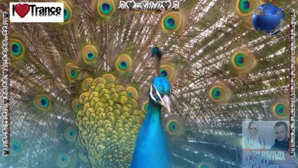 ♛♫♥Dash Berlin feat Christina Novelli - Jar of Hearts♥♫♛