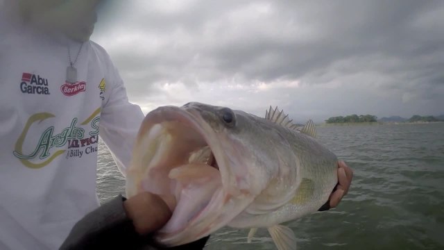 Bass Fishing Action at Lake Picachos