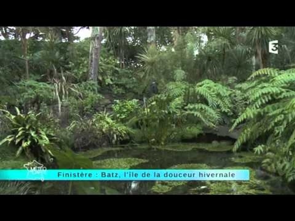 Reportage région : direction le Finistère : Batz, l'île de la douceur hivernale