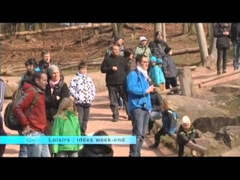 Loisirs - de belles idées partout en France ! Un reportage du 12 avril 1013