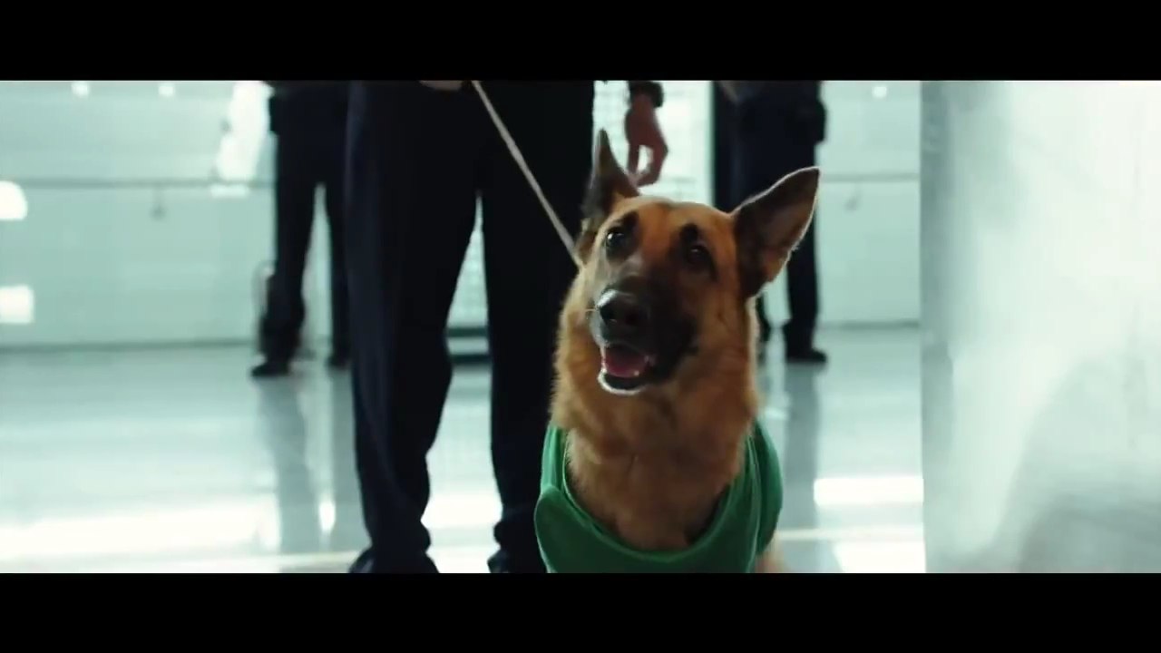 Bande-annonce : Lucy - VO (2)