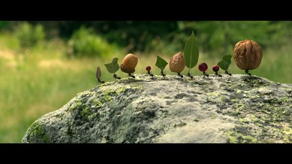 Minuscule - La Vallée des Fourmis Perdues - Extrait (3)