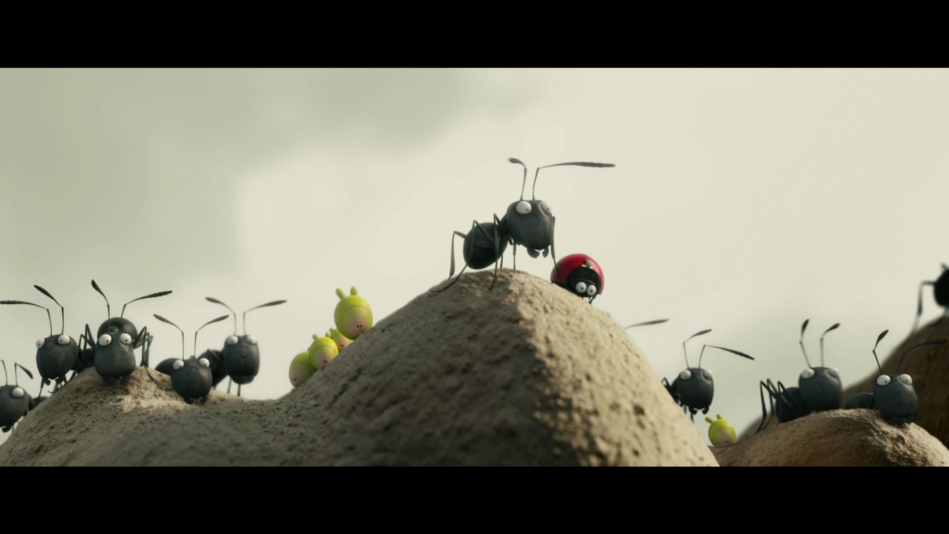 Букашки 1 приключения в долине муравьев. Букашки 2. Букашки последние. Minuscule букашки божья коровка. Minuscule букашки божья коровка.