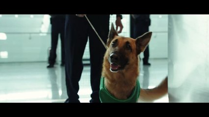 Bande-annonce : Lucy -  VOST (2)