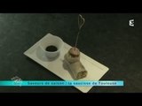 MALC 05/05/14  Saveur de saison : la saucisse de Toulouse