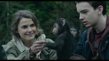 Bande-annonce : La Planète des Singes : l'Affrontement -  VOST (2)