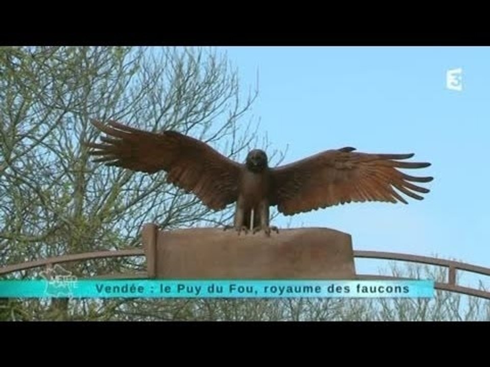 MALC 29/04/14 Le Puy du Fou le royaume des faucons