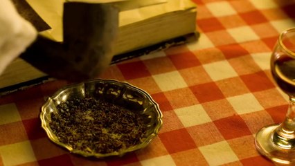 Out Of A Forest awsome stop motion video