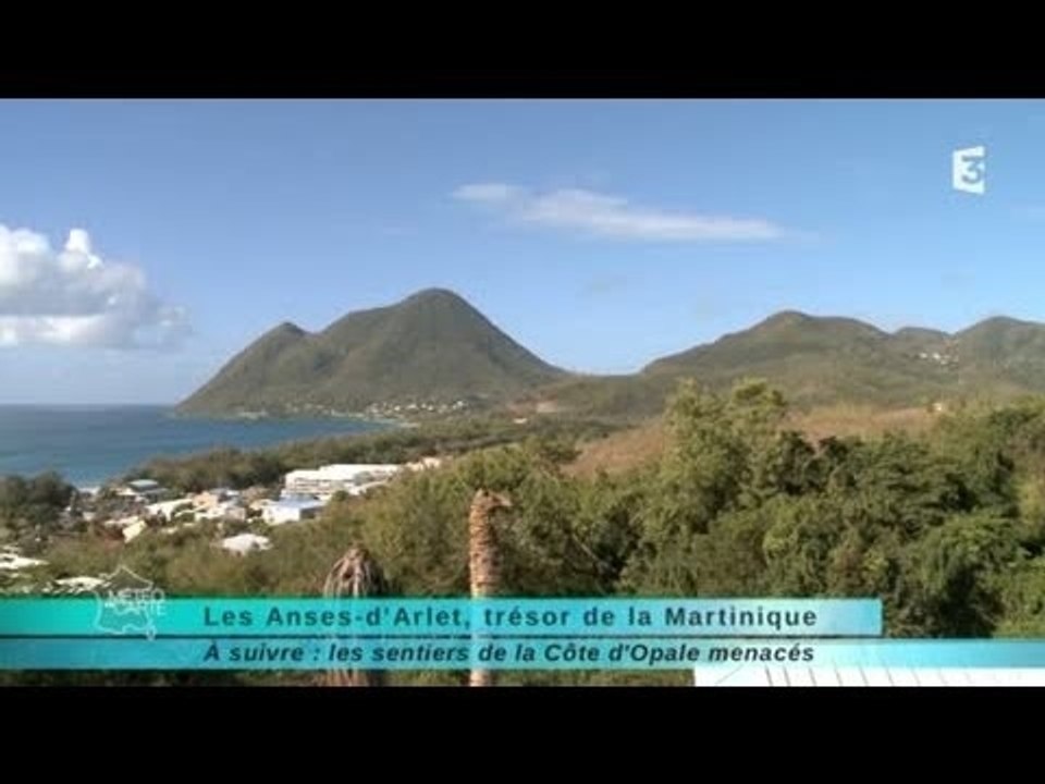 Reportage en Région : Les Anses-d'Arlet, trésor de la Martinique 2/2