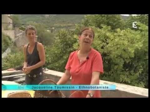 Bien cuisiner les orties 23 septembre 2013