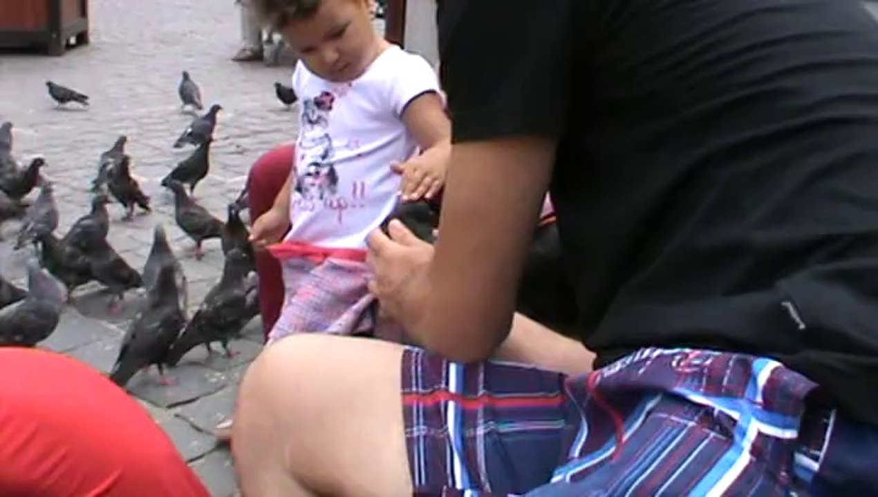 1. BRASOV 29.07.2014