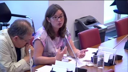 Audition de M. Yves Struillou, dg de la DGT (ministère du travail, de l'emploi et du dialogue social) - Mercredi 30 Juillet 2014