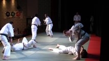Shorinji Kempo à la 3ème nuit des arts martiaux japonais de Marines