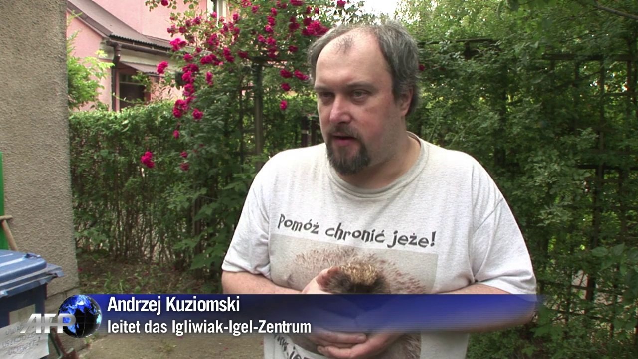 Achtung Igel! Erste Auffangstation in Polen