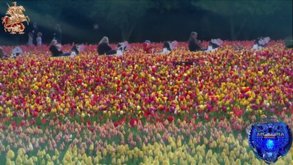 ♛♫♥DJane - Only You (AERO 21 Cover Mix)♥♫♛