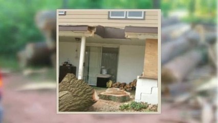 Logging Contractor Berks